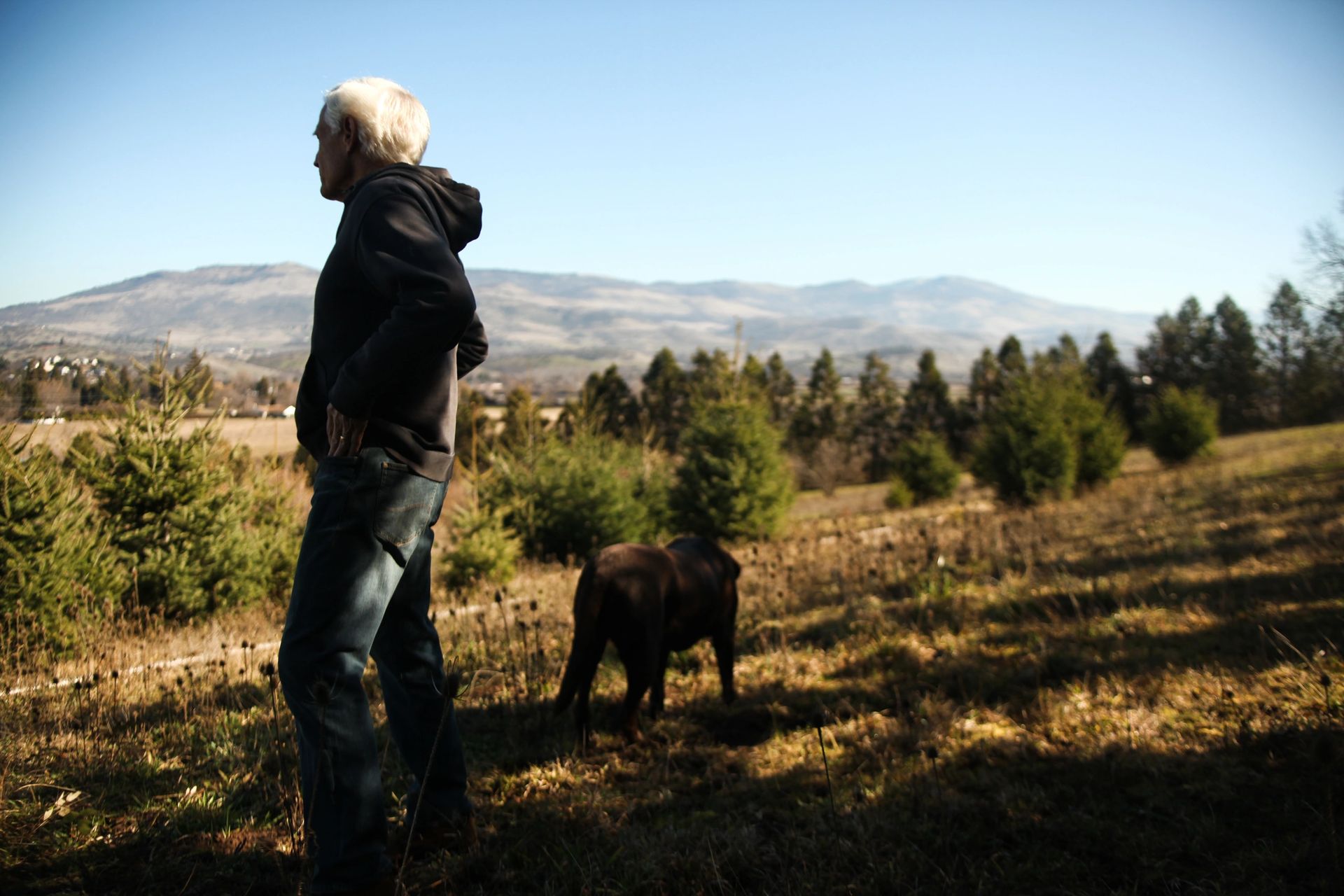Forager examining the forest floor for truffles