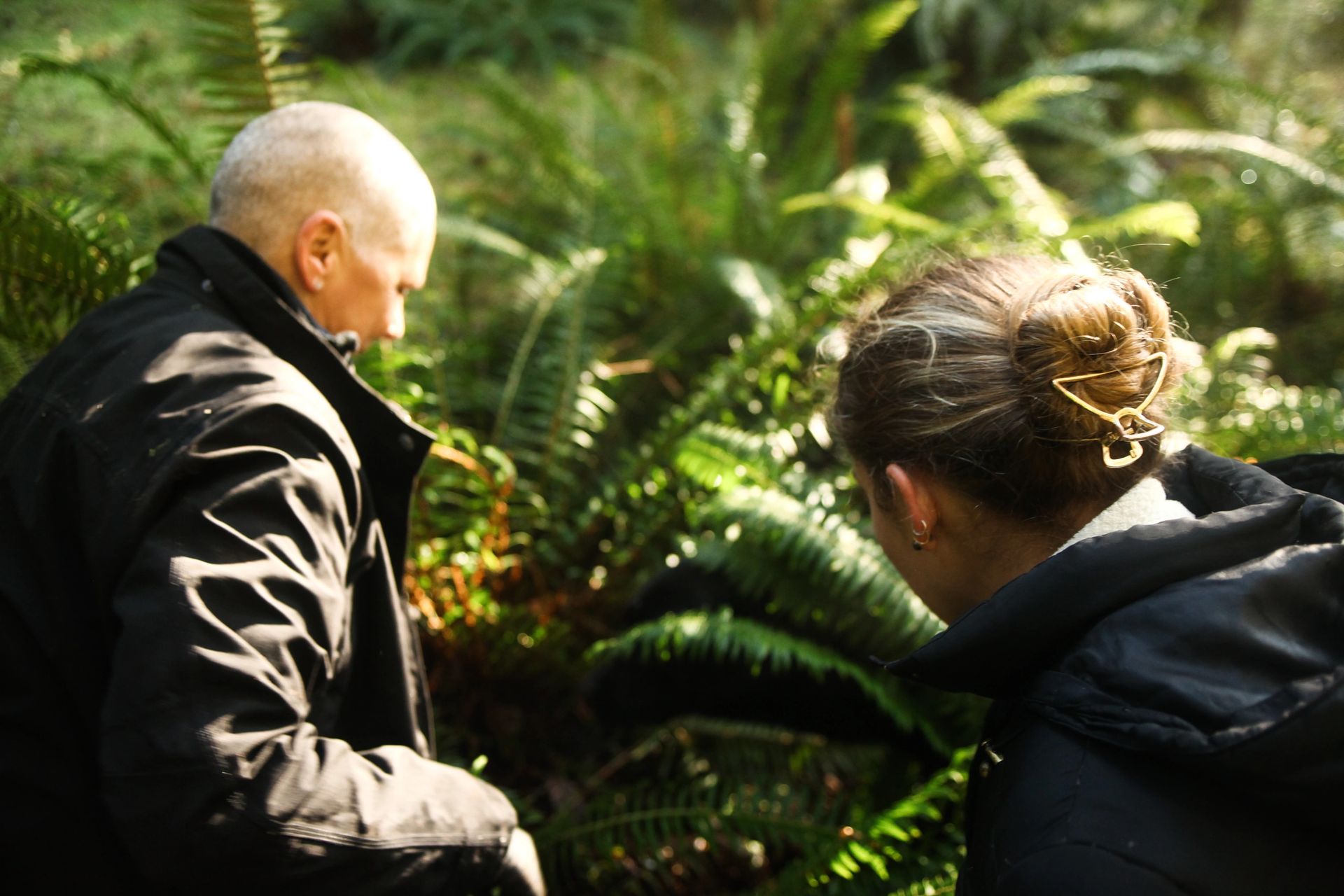 Pacific Northwest forest foraging landscape